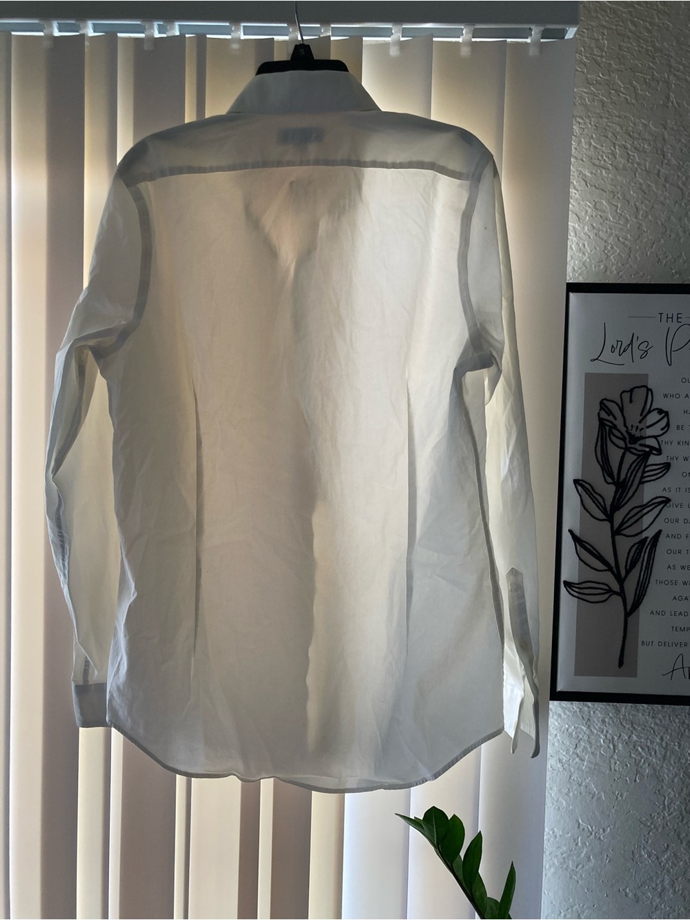 Express White Sheer Button-Up Blouse